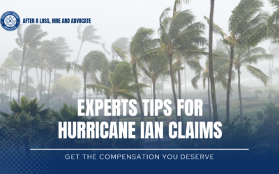 Expert Tips For Hurricane Ian Insurance Claims