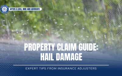 Expert Tips After Hail Damage