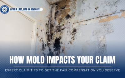 What To Do When You See Mold
