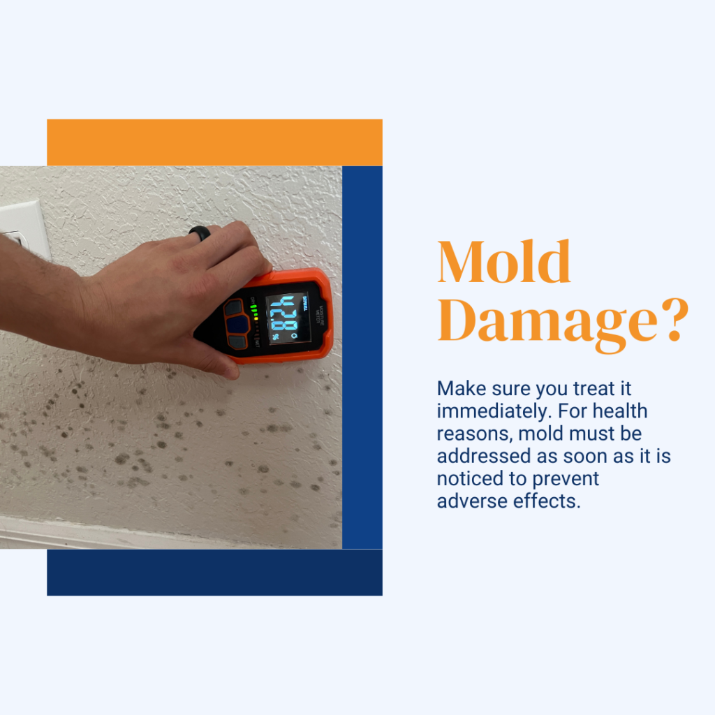 Moisture meter showing increased elevations. Text explains importance of mitigating mold damage to avoid adverse effects.