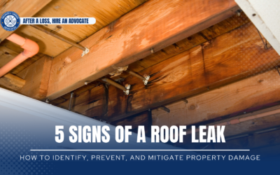 Five Signs Of A Roof Leak